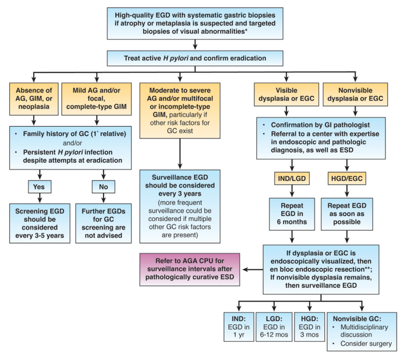 CGA-IGC (@cgaigc) on Twitter photo 6/
✅ Findings on the index EGD guide subsequent management
<a href="/josiebakerGC/">Josie Baker</a> <a href="/pAla2Arg/">Emma Keel (she/her)</a> <a href="/OphirGilad/">Ophir Gilad</a> <a href="/KristenCiombor/">Kristen Ciombor</a> <a href="/GillSharlene/">Sharlene Gill, MD, MPH, MBA, FASCO</a> <a href="/KMonkemuller/">Klaus Mönkemüller, MD, PhD</a> <a href="/DrDespina123/">Dr. Despina Siolas, MD, PhD</a> 6/
✅ Findings on the index EGD guide subsequent management
<a href="/josiebakerGC/">Josie Baker</a> <a href="/pAla2Arg/">Emma Keel (she/her)</a> <a href="/OphirGilad/">Ophir Gilad</a> <a href="/KristenCiombor/">Kristen Ciombor</a> <a href="/GillSharlene/">Sharlene Gill, MD, MPH, MBA, FASCO</a> <a href="/KMonkemuller/">Klaus Mönkemüller, MD, PhD</a> <a href="/DrDespina123/">Dr. Despina Siolas, MD, PhD</a>