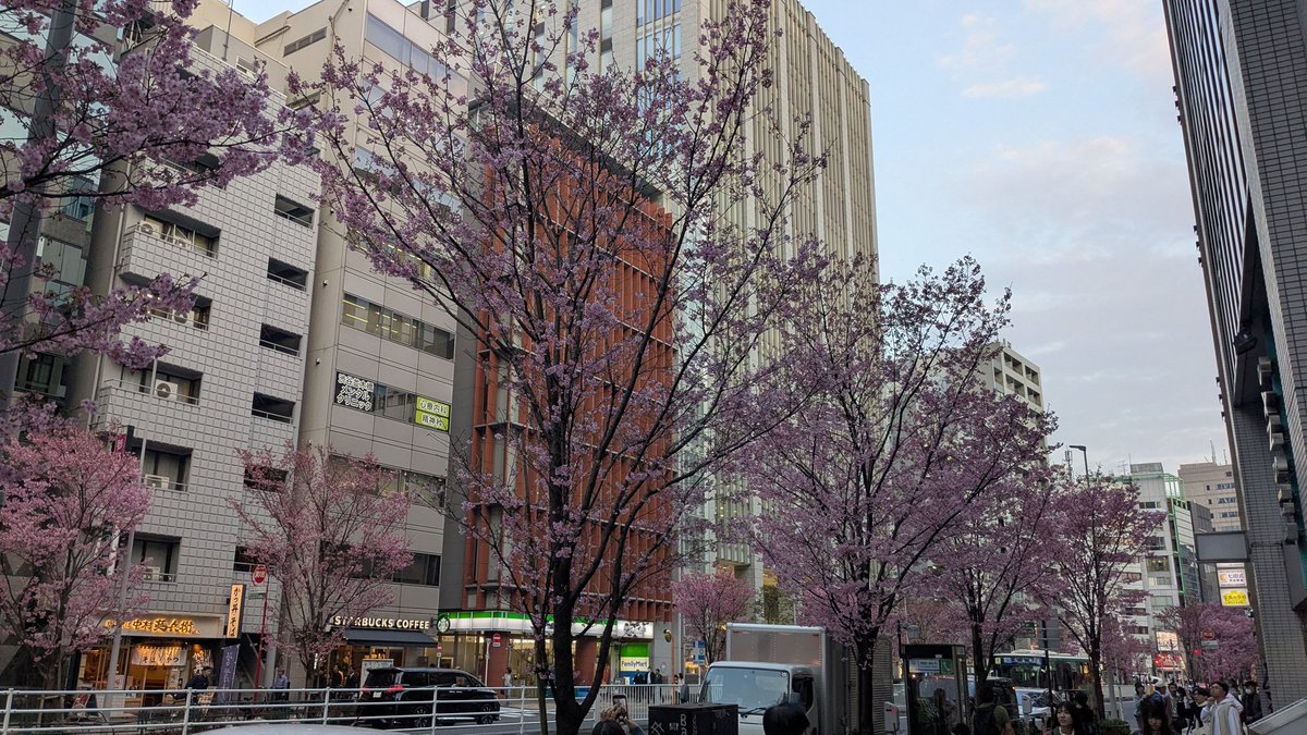 nori_model's tweet image. 春だねえ☺️
