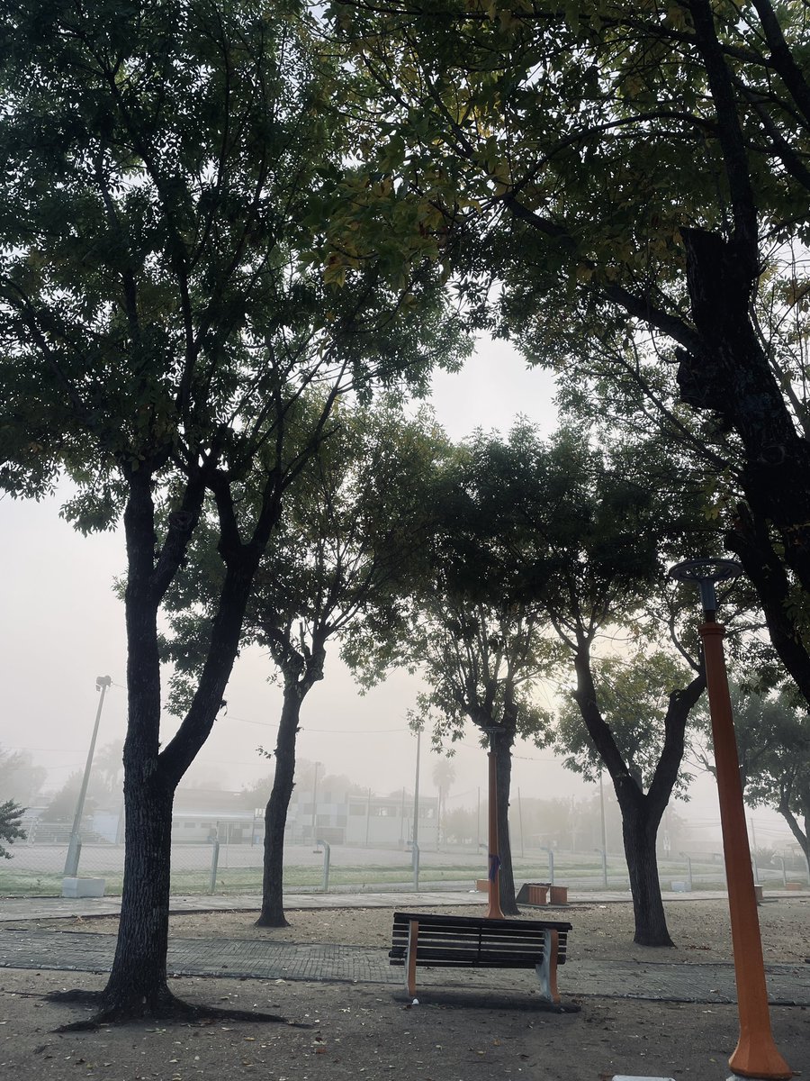 Las mañanas con frío sin duda las mejores 🩶🤍