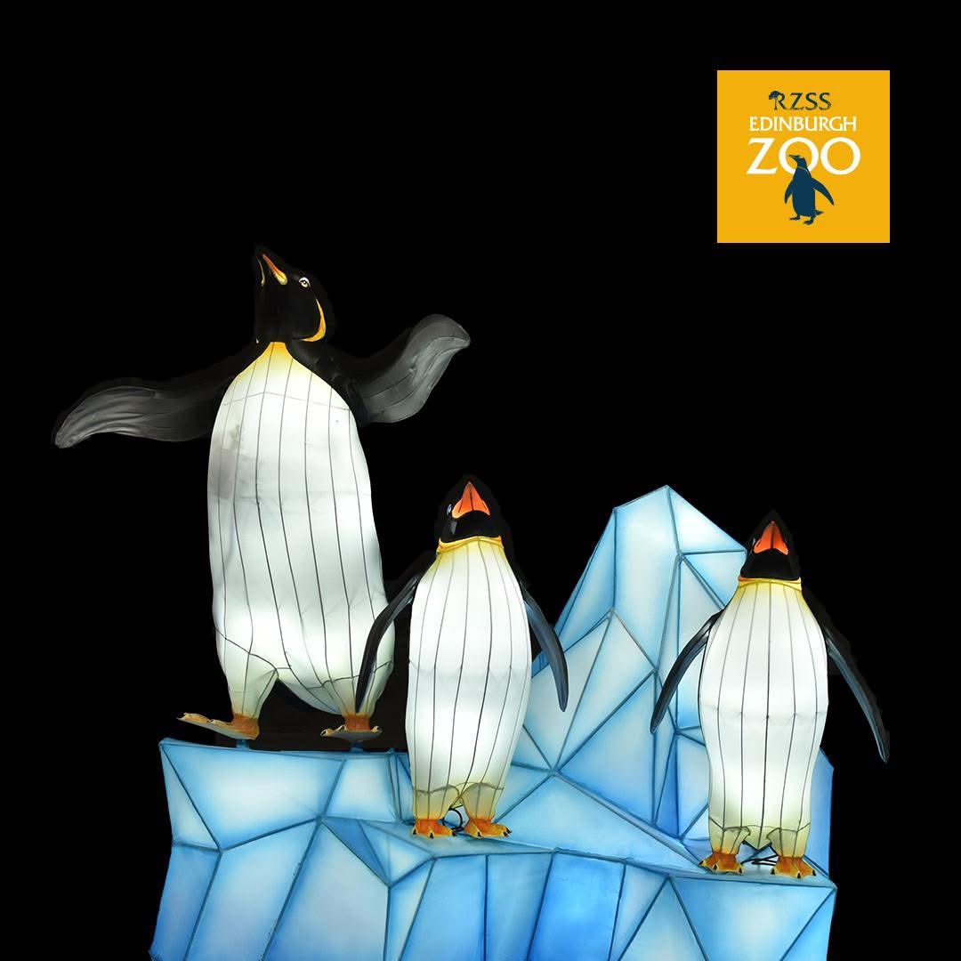 The wait is over – Giant Lanterns are back!

For the first time since 2019, our spectacular outdoor lantern trail is making a long-awaited return – with an all-new theme to light up the night! ✨ Get ready to explore a glowing world filled with breath-taking, larger-than-life