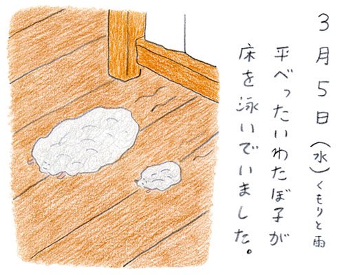 yamadamitsuko's tweet photo. わたぼ子エイ
#みつこ絵日記 https://t.co/Ddwd9T5GV6