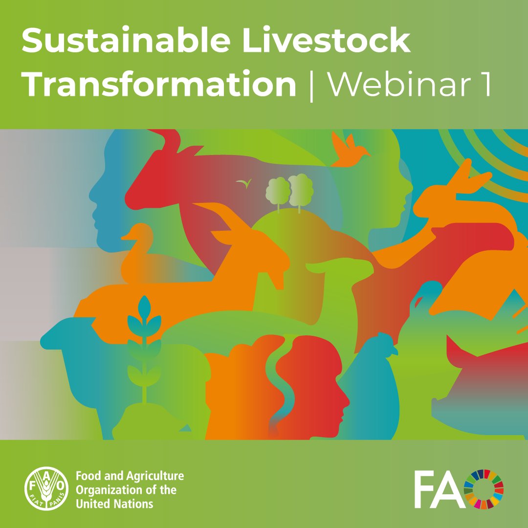 FAO Livestock (@faolivestock) on Twitter photo 🚨 SAVE THE DATE 🚨
<a href="/FAO/">Food and Agriculture Organization</a> webinar on livestock and innovation 👇
"Implementing innovative technologies: Lessons and opportunities"
📅 27 March
🕑 2.30 (Rome time)
📍 Zoom
Register here ➡️ bit.ly/4hieWnW
#SustainableLivestock 🚨 SAVE THE DATE 🚨
<a href="/FAO/">Food and Agriculture Organization</a> webinar on livestock and innovation 👇
"Implementing innovative technologies: Lessons and opportunities"
📅 27 March
🕑 2.30 (Rome time)
📍 Zoom
Register here ➡️ bit.ly/4hieWnW
#SustainableLivestock