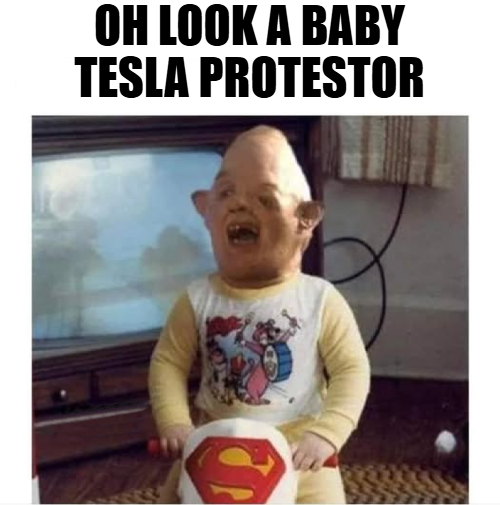 Ultra Cat (@mrtruth_199) on Twitter photo 