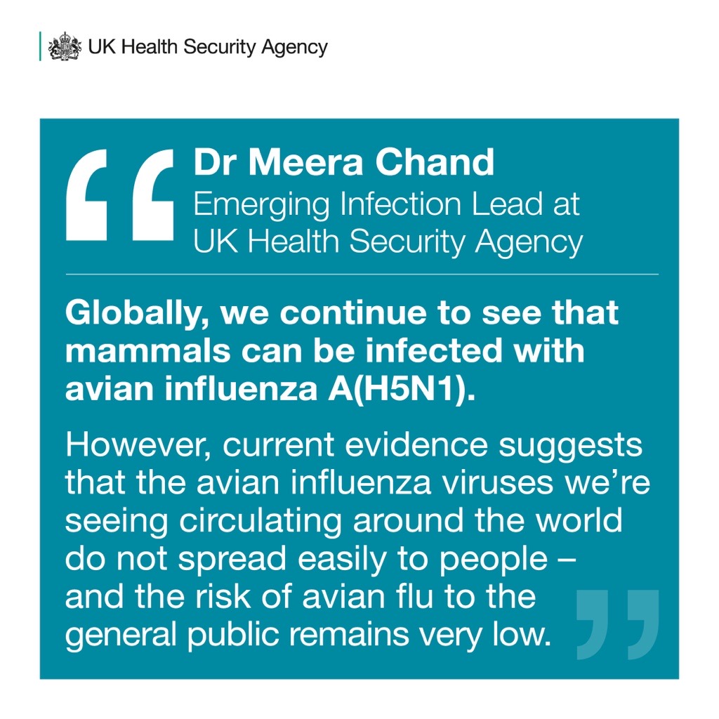 You may have seen reports of the first case of #BirdFlu in sheep found on a UK farm.
Read our response from Dr Meera Chand, Emerging Infection Lead at UK Health Security Agency.
Read our blog post for more on bird flu: ukhsa.blog.gov.uk/2024/12/03/wha…