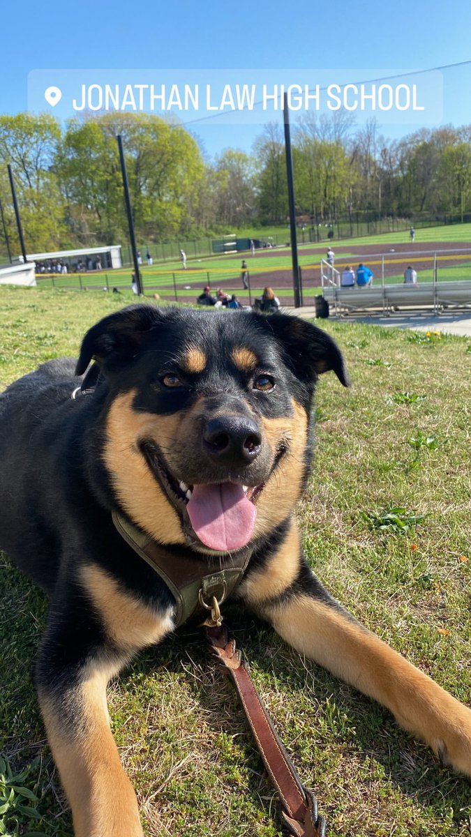 Ms. Doolan tweet media