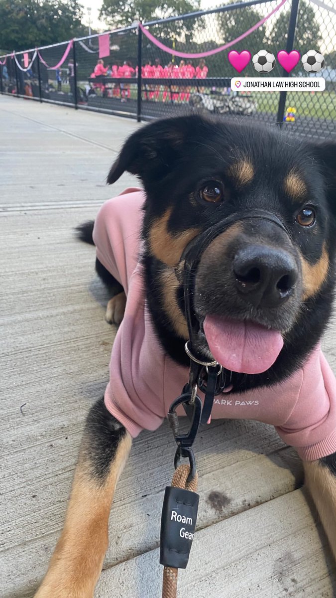 Ms. Doolan tweet media