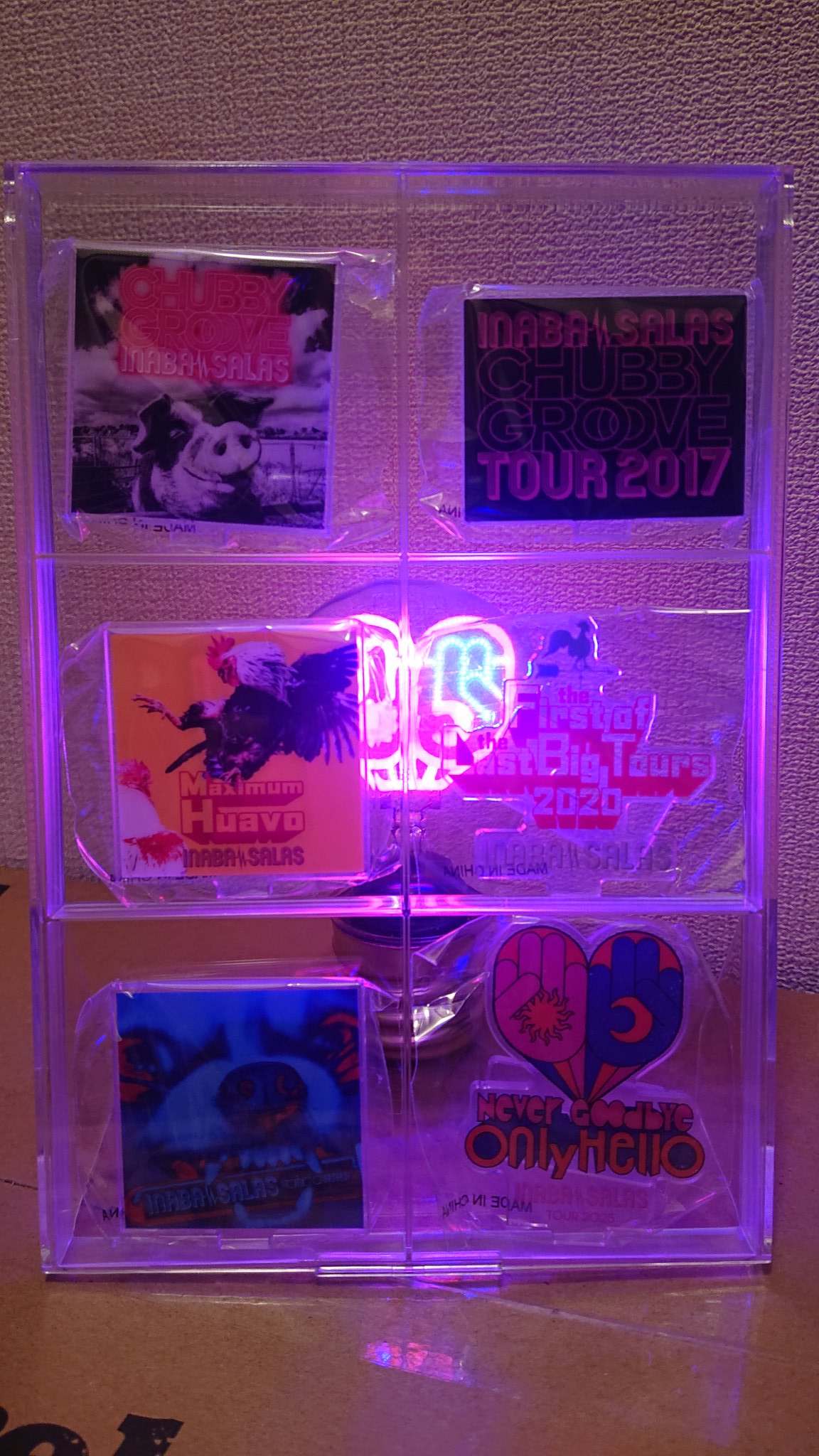 INABA/SALAS TOUR 2025 イルミネーションライトバルブB'z