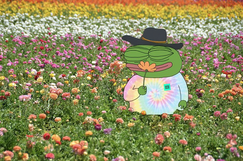 tealstreet's tweet photo. Nothing like touching grass while the market touches liquidation levels. 🌿📈 https://t.co/8PTnOteTEq
