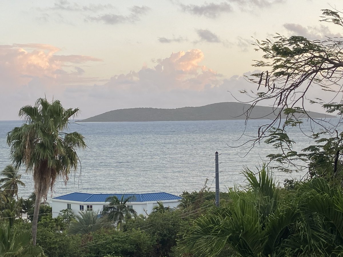 GM ☀️ via St Croix USVI