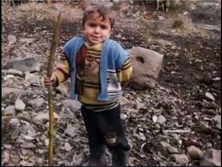 Gülhane pakındaki ceviz ağacı tweet media