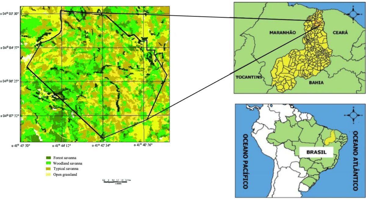 lwmendes's tweet image. Co-occurrence network and predicted functions of bacterial community in soil from Brazilian Cerrado under distinct types of vegetation cover | Community Ecology link.springer.com/article/10.100…
