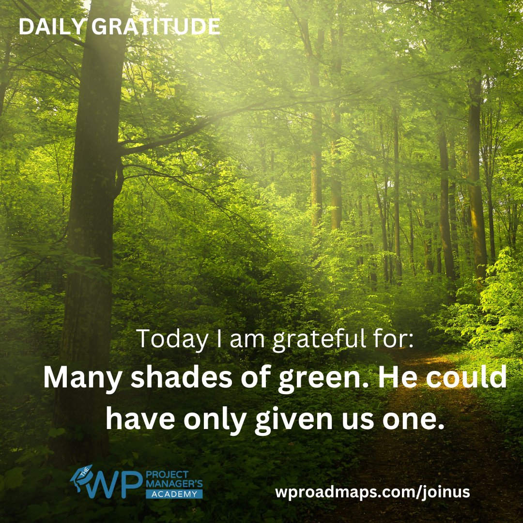 You know, I am often amazed at the many shades of green God gave us.He didn't have to do that.

#WordPress #ProjectManagement #OnTime #WithinBudget #StopScopeCreep #PreserveROI #TheWPProjectManagersAcademy #StayProductive #AlwaysKeepLearning #RemainGrateful #JoinTheAcademy