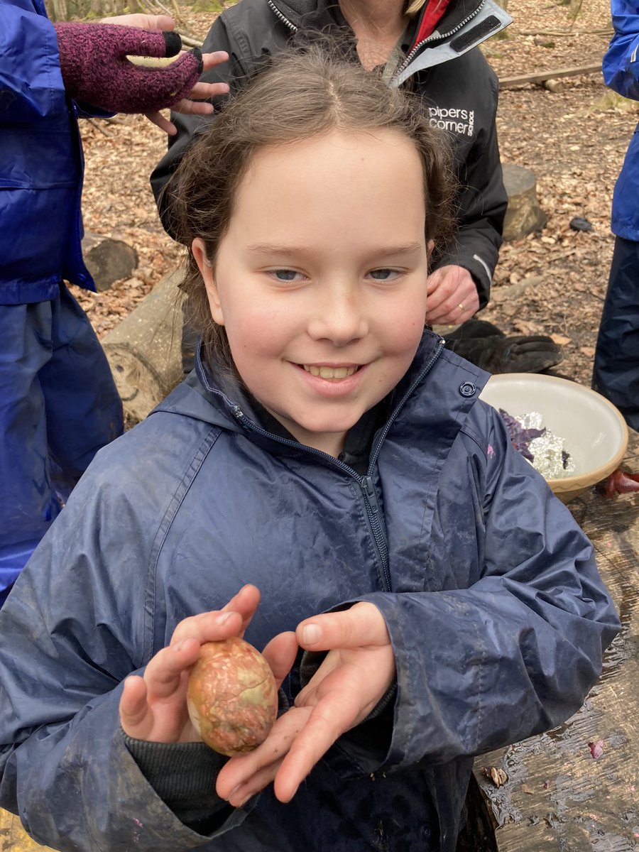 PipersForestSch's tweet image. Year 6 have been making Easter decorations by dying hard boiled eggs with vegetables skins! 🥚🧅🥬
#eggdying #pipersprep #Easteractivity