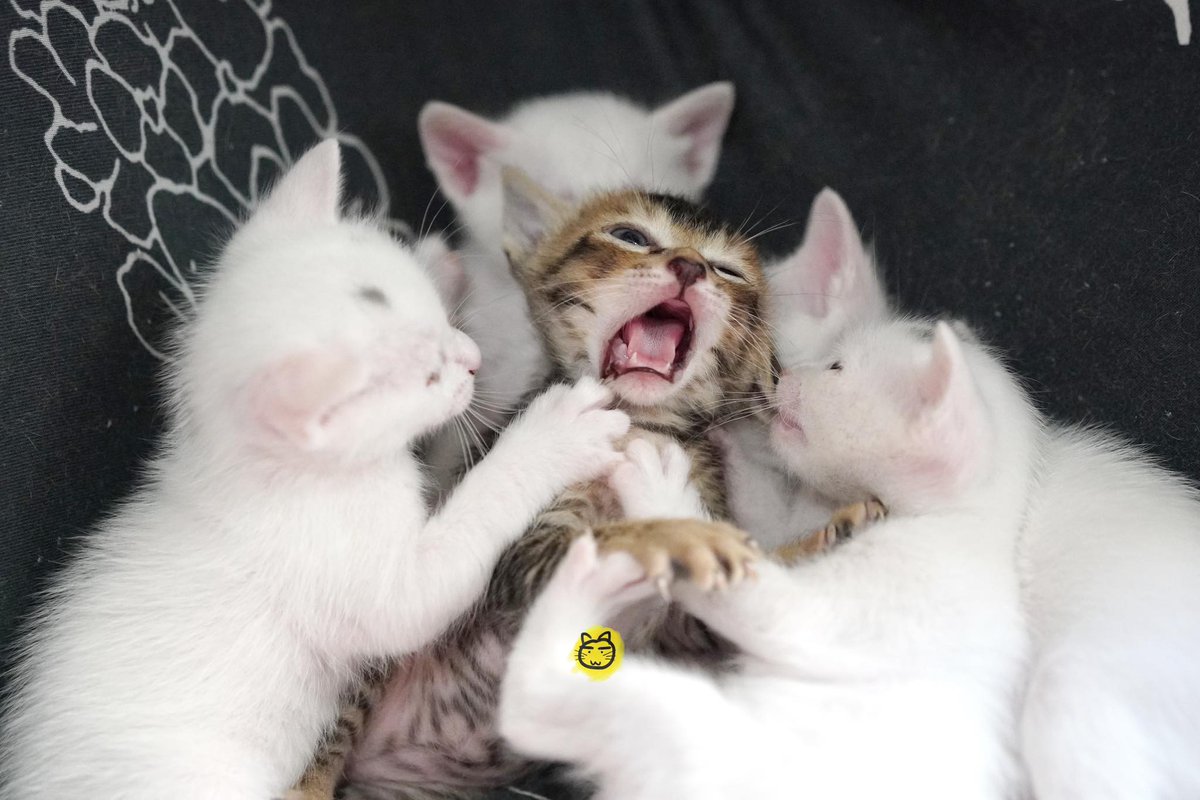 好似好色色咁

#乜人諗乜野