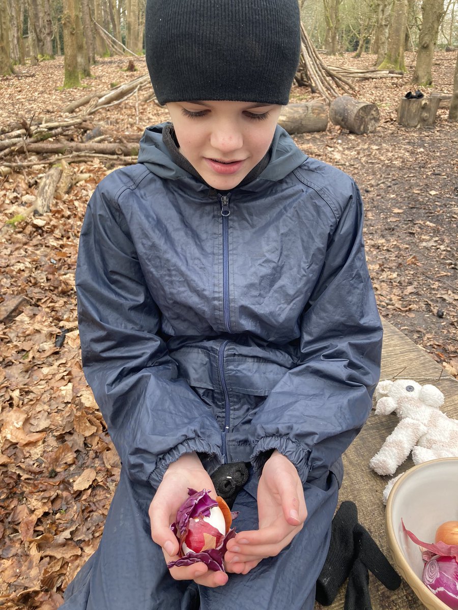 PipersForestSch's tweet image. Year 6 have been making Easter decorations by dying hard boiled eggs with vegetables skins! 🥚🧅🥬
#eggdying #pipersprep #Easteractivity