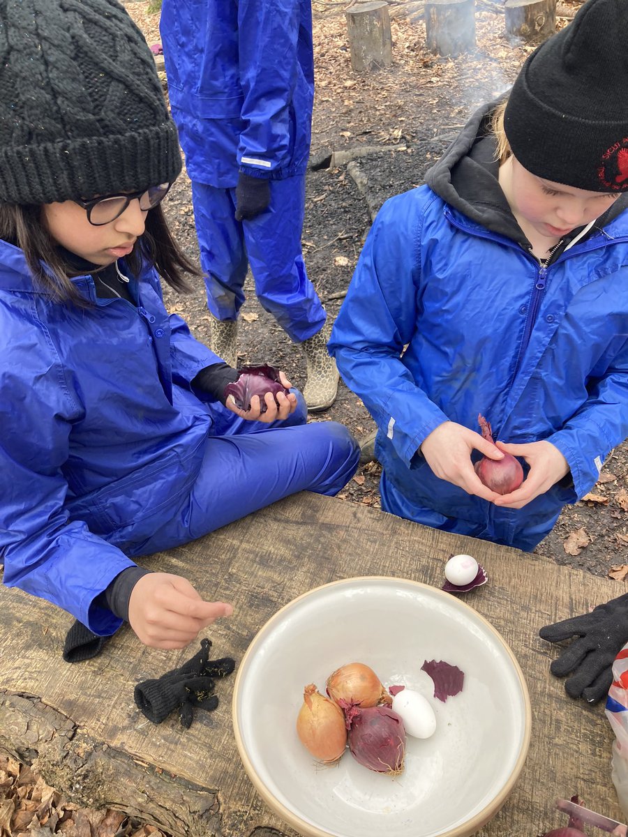 PipersForestSch's tweet image. Year 6 have been making Easter decorations by dying hard boiled eggs with vegetables skins! 🥚🧅🥬
#eggdying #pipersprep #Easteractivity