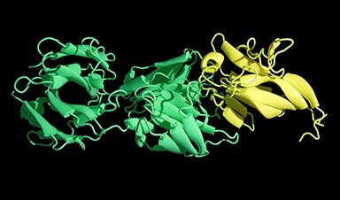 NanoApps Medical Inc - Curated by Amanda Scott (@nanoappsm) on Twitter photo Bird Flu Virus Is Mutating Fast – Scientists Say Our Vaccines May Not Be Enough
nanoappsmedical.com/bird-flu-virus…
c.c. <a href="/tantriclens/">Amanda Scott</a> <a href="/HeinzVHoenen/">Heinz V. Hoenen 🌻</a> <a href="/cellrepair777/">Frank Boehm🌻</a> Bird Flu Virus Is Mutating Fast – Scientists Say Our Vaccines May Not Be Enough
nanoappsmedical.com/bird-flu-virus…
c.c. <a href="/tantriclens/">Amanda Scott</a> <a href="/HeinzVHoenen/">Heinz V. Hoenen 🌻</a> <a href="/cellrepair777/">Frank Boehm🌻</a>