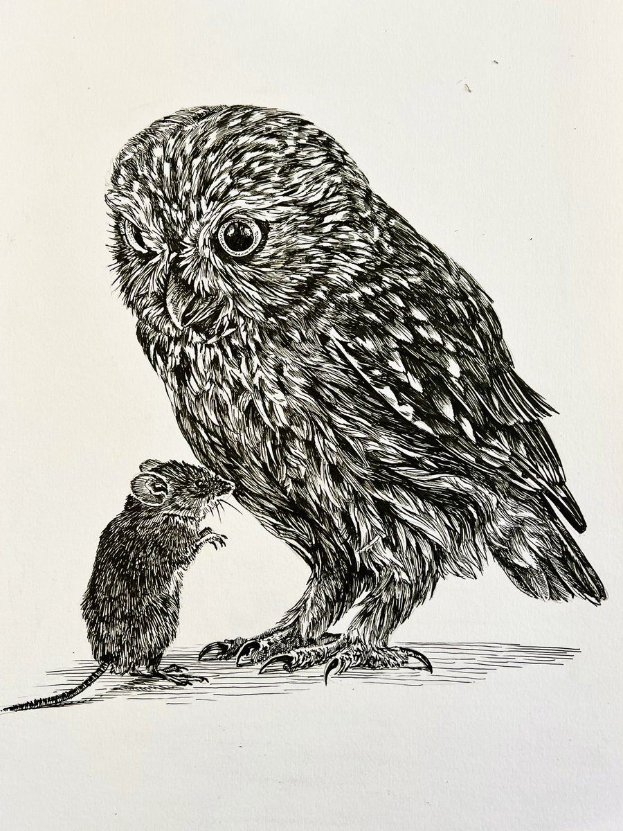 Ik maakte een tekening.

‘An unlikely lovestory’ 
29,7 x 21 cm
Inkt op papier.

Retweet is lief.