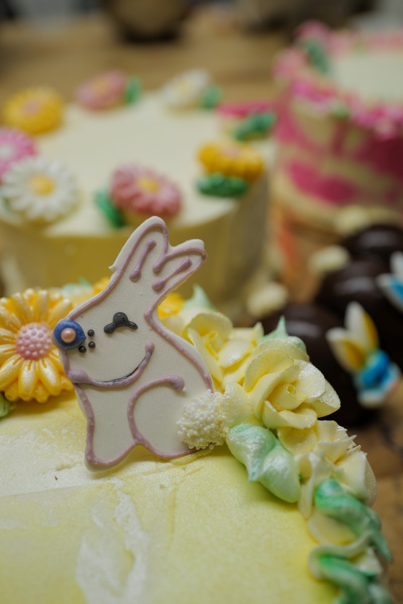 This little guy is HOPPY that it's officially spring! 🐰