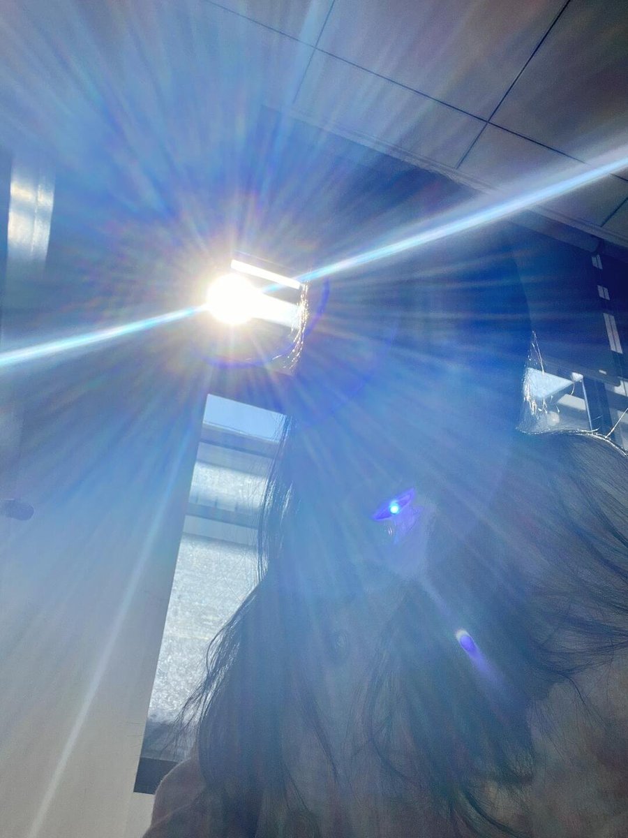 RubyStork's tweet image. Each moment captured in the sunlight of the morning, the best of life. 🌅💛