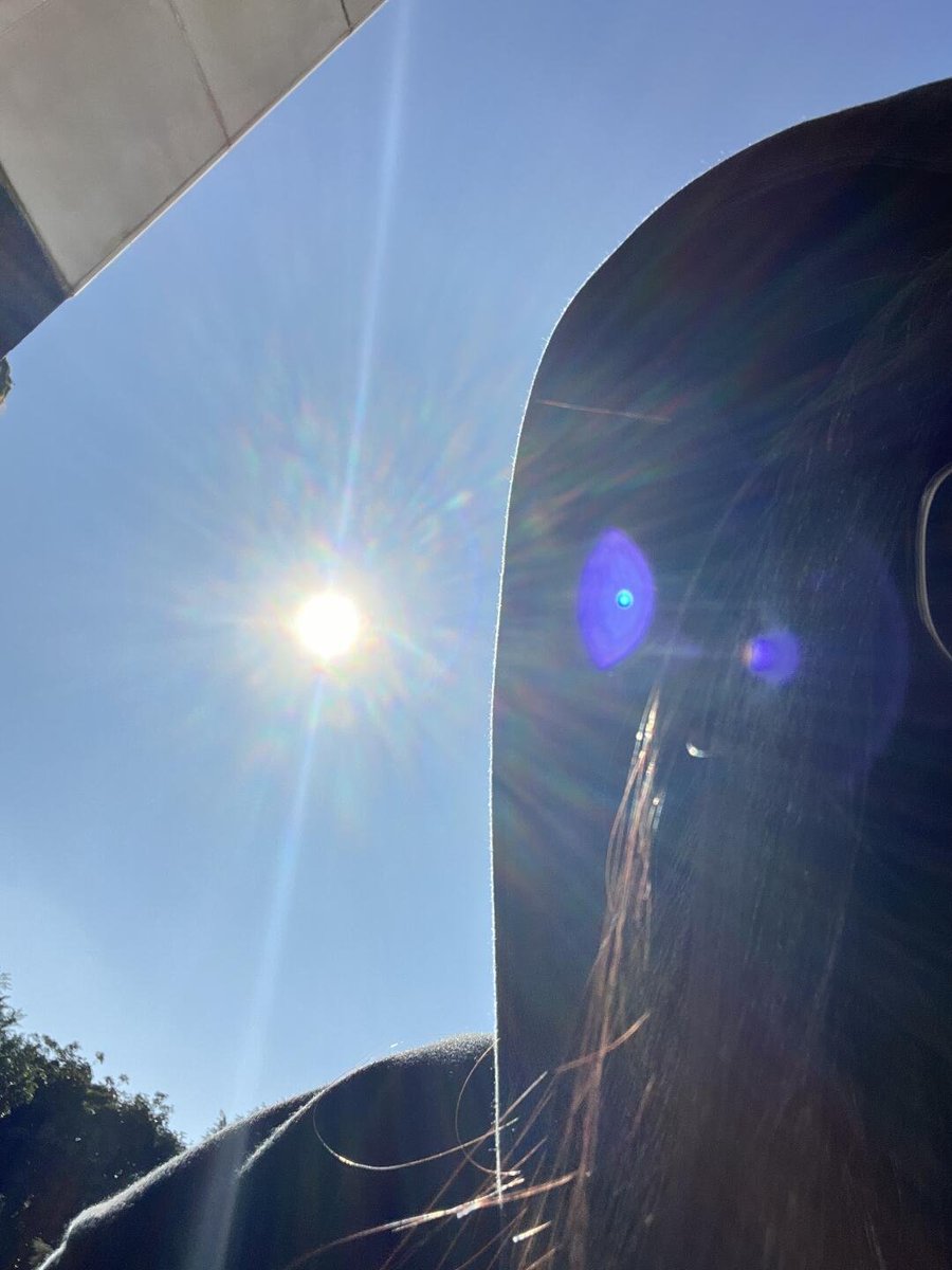 RubyStork's tweet image. Each moment captured in the sunlight of the morning, the best of life. 🌅💛