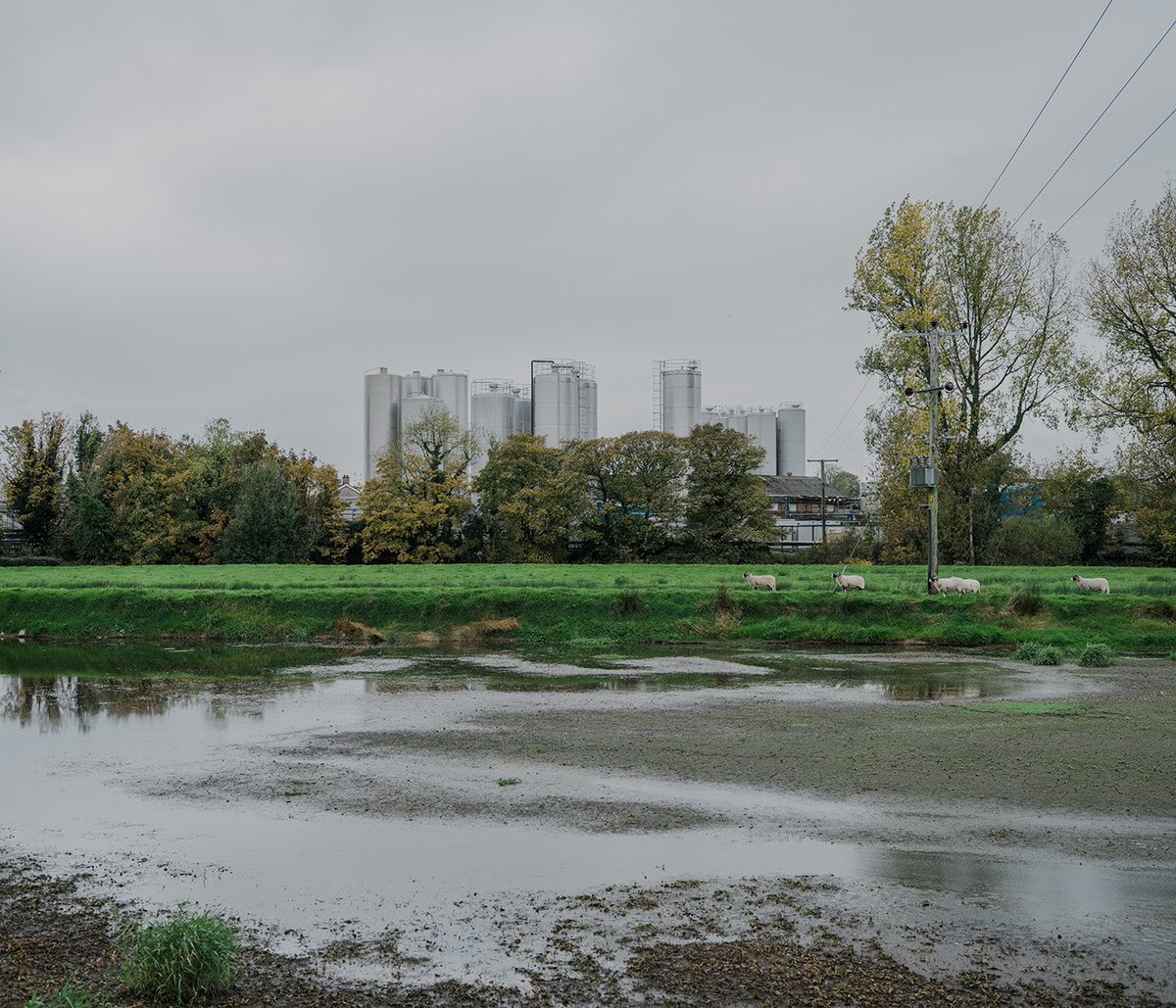 SHALLOW WATERS, JOE LAVERTY | 2 - 27 APRIL | THE QUAD, QUEEN’S UNIVERSITY

Belfast Photo Festival presents the debut exhibition of Joe Laverty’s long-term project ‘Shallow Waters’.

More info: belfastphotofestival.com