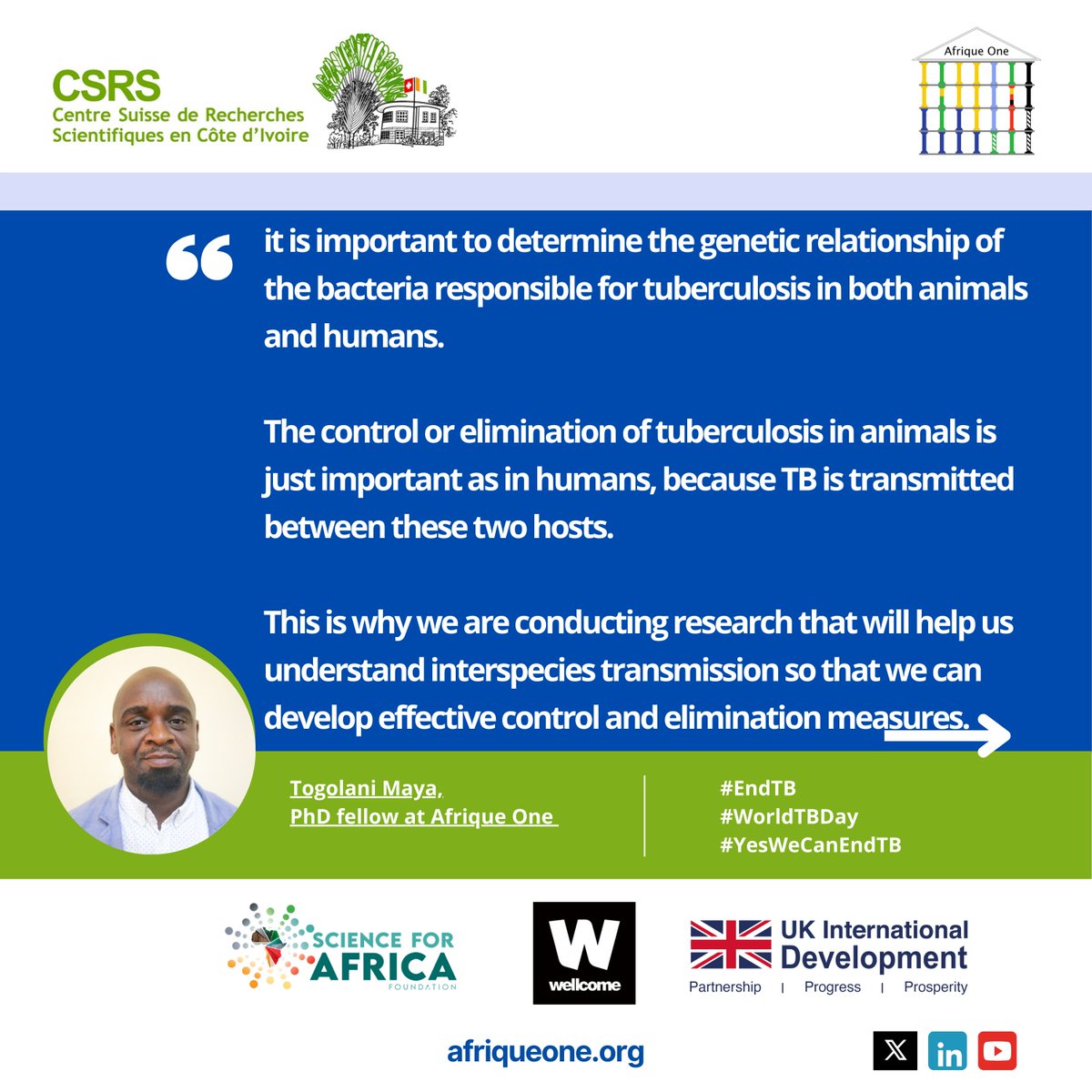 #WorldTBDay it is important to determine the genetic relationship of the #bacteria responsible for #tuberculosis in both animals and humans. 
Read more ➡️afriqueone.org/2025/03/22/tac…