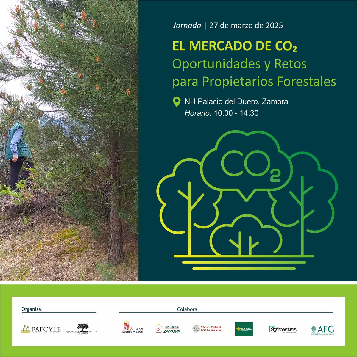 fafcyle's tweet image. 🗓️27.3.2025 - #Zamora

#FAFCYLE en colaboración con #ASFOZA organiza la #Jornada "El mercado de #CO2: oportunidades y retos para propietarios forestales" #DerechosCO2 #MercadosCO2 #Carbono

Colaboran: @jcyl @DiputacionZA @usal @cajaruralzamora @GrupoSylvestris @AFG_asociacion