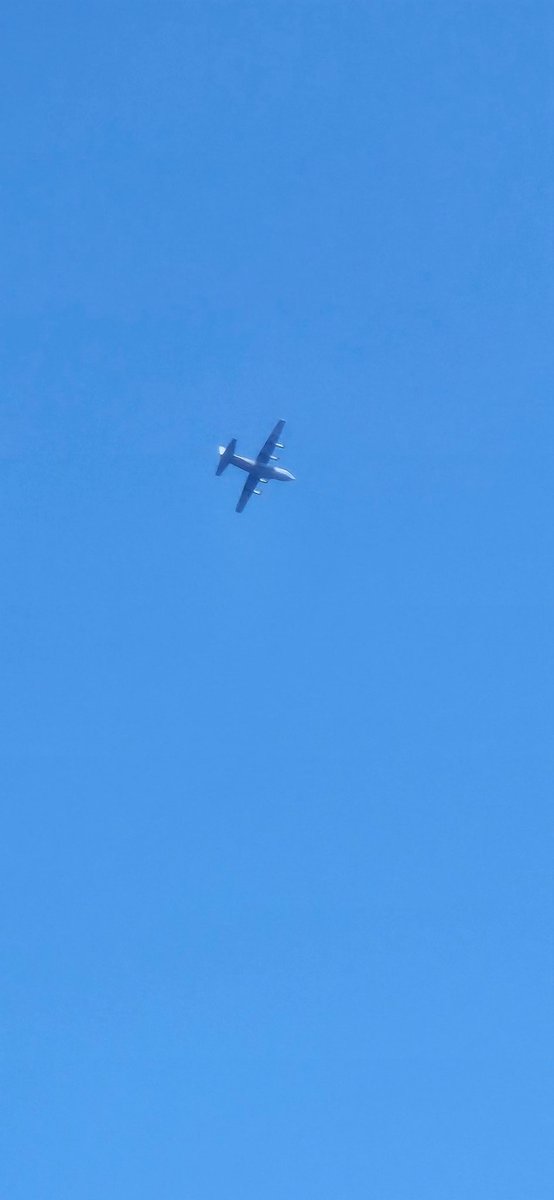 René B. tweet media