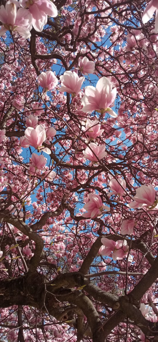 Céline Clément tweet media