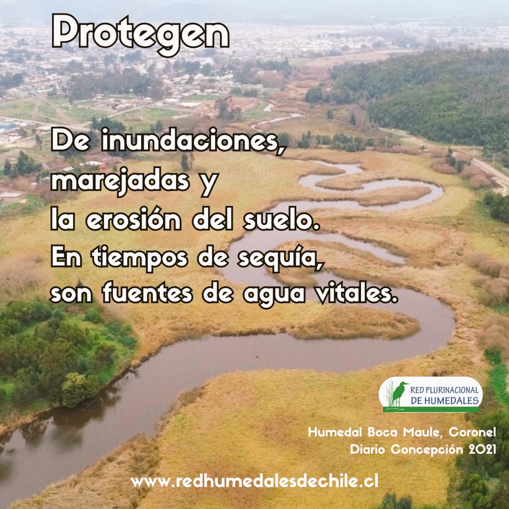 💧 El 22 de marzo fue el #DíaMundialDelAgua. Desde la Red Plurinacional de Humedales recordamos que cuidar el agua y los humedales🦆💧🌱 es tarea de todos. ¿Qué haces tú para protegerla en tu territorio? Cuéntanos. ⬇️💬 #Agua #Humedales