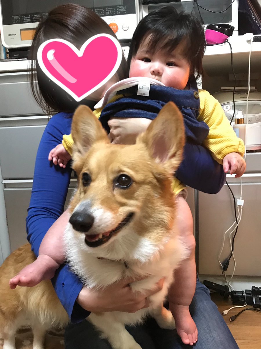 23日は初めての月命日
22日に５歳の姪っ子も来てくれて亡くなったことをわからないでいたけど、５歳なりに理解してくれて

「ルナちゃんは死んじゃってお空に行って神様になった」

と😂
ルナちゃんなんの神様になったんだろうなぁ

※写真はまだ姪っ子が小さいときのものです