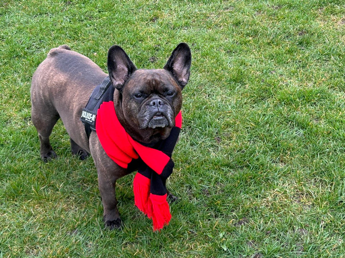 A huge well done to our Year 9 boys who won the final of the Sheffield School Football competition on Saturday.