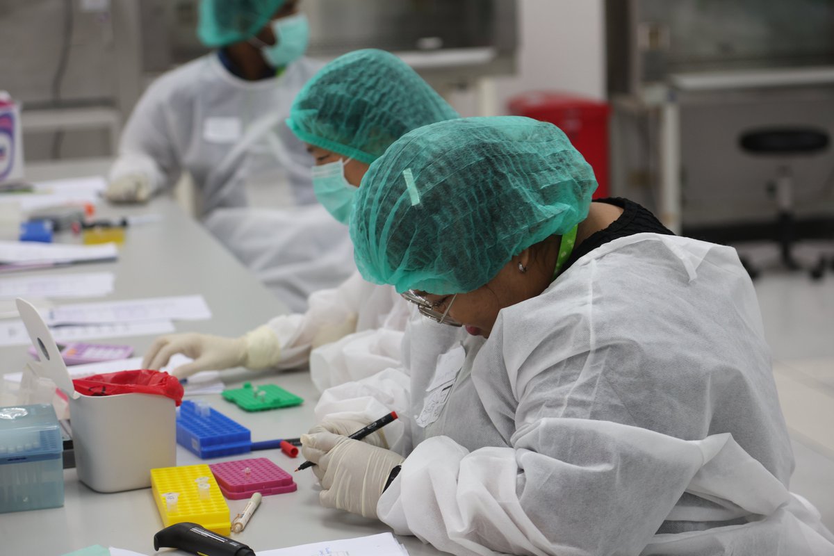 NetworkArtic's tweet image. Earlier this month ARTIC, together with Asia PGI, were hosted by the Ministry of Public Health in Bangkok, to conduct a regional training workshop of #MPOX #genomicsurveillance, organised by the South-East Asian WHO office, with attendees from 8 countries.