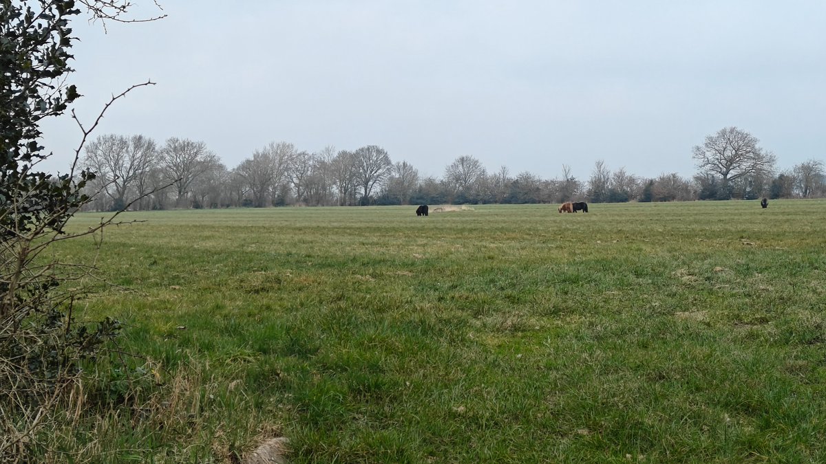 Bij de buurman is het gras groener 😉