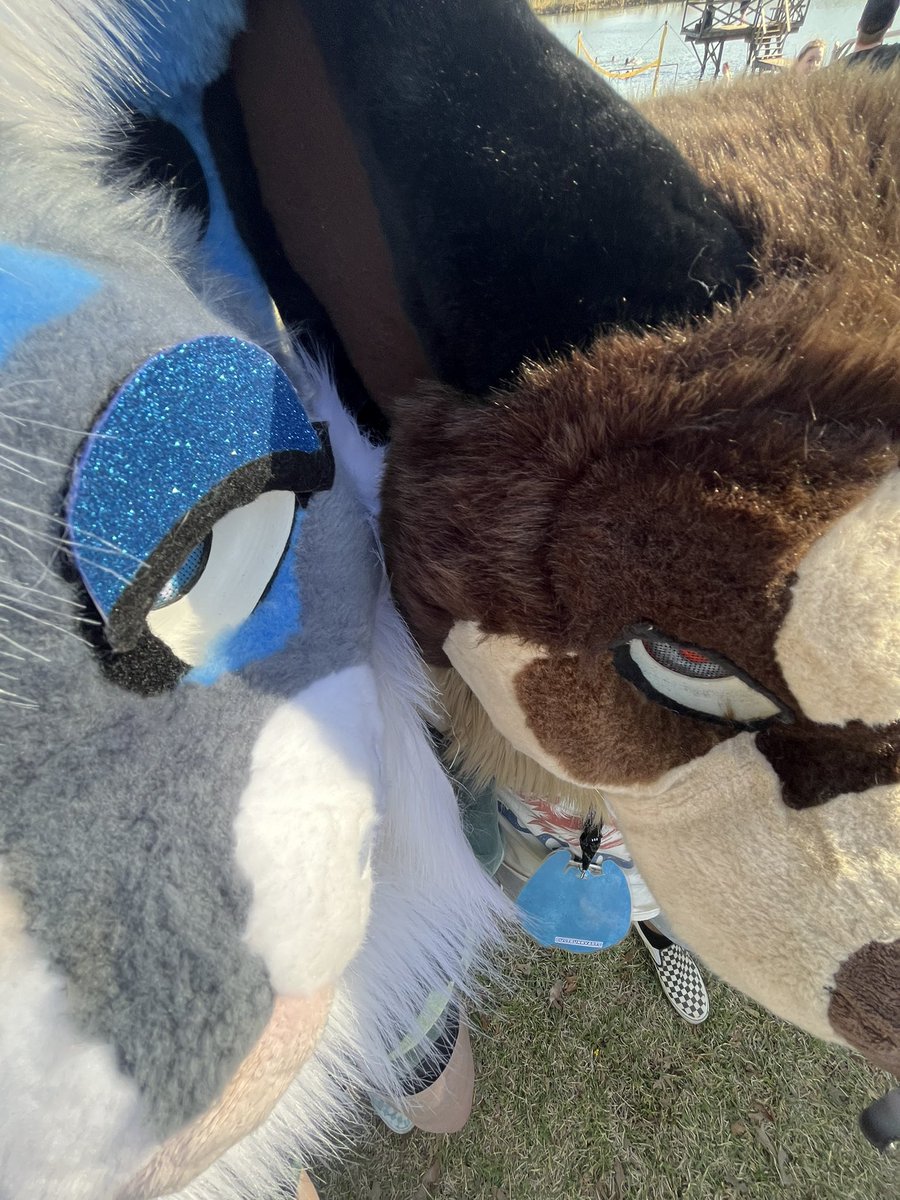 Key π π FWA (@coastalkeyy) on Twitter photo Hanging out at <a href="/ARKFurmeet/">ARF @ Halloween ππ»π</a> was sooo fun β¨ πΆ Loved getting to see friends and make new ones π Hanging out at <a href="/ARKFurmeet/">ARF @ Halloween ππ»π</a> was sooo fun β¨ πΆ Loved getting to see friends and make new ones π