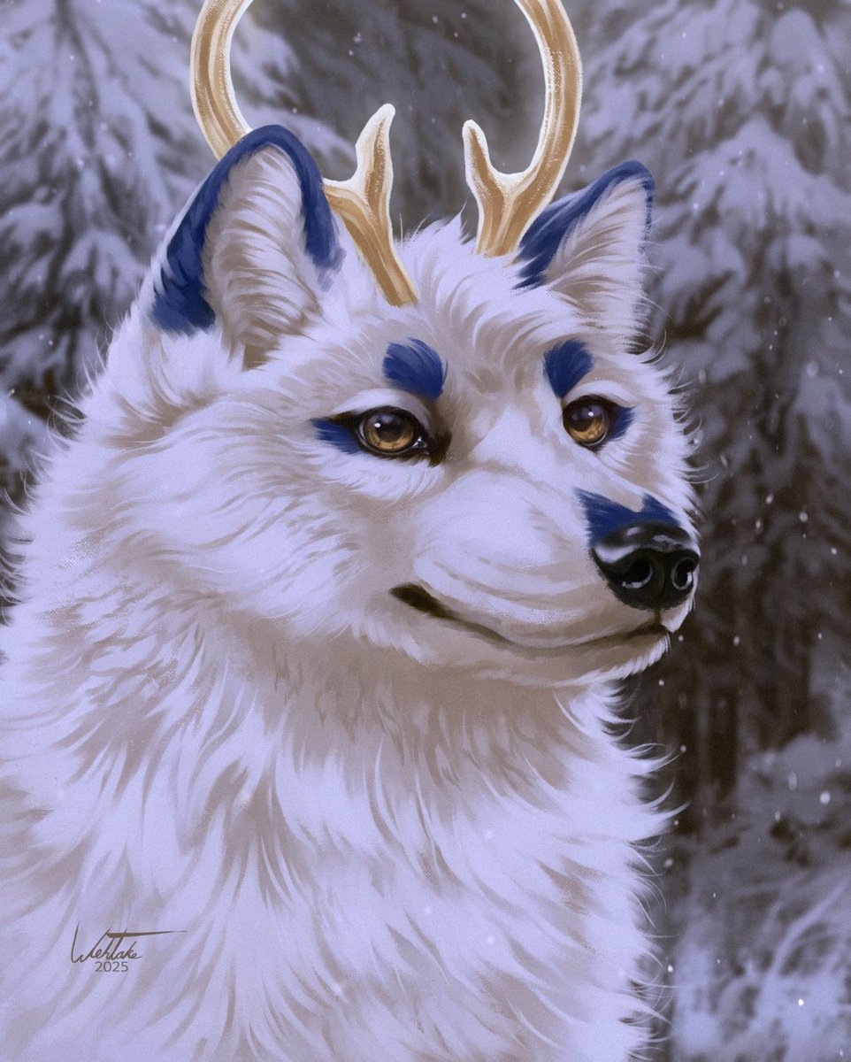 Snowlar 💙 
Portrait illustration commission c: