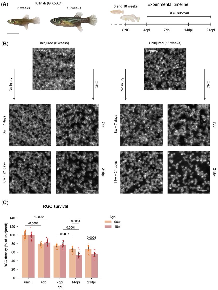 MoonsLab tweet media