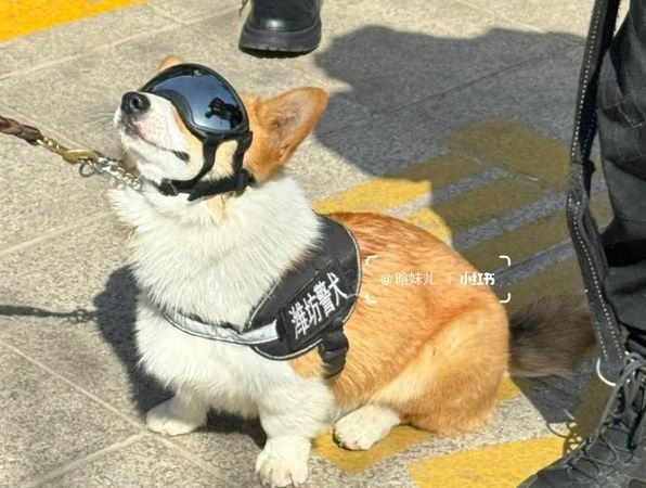 <a href="/kairakuryo129/">快楽寮chitchat</a> リードしたこともあるよ😆