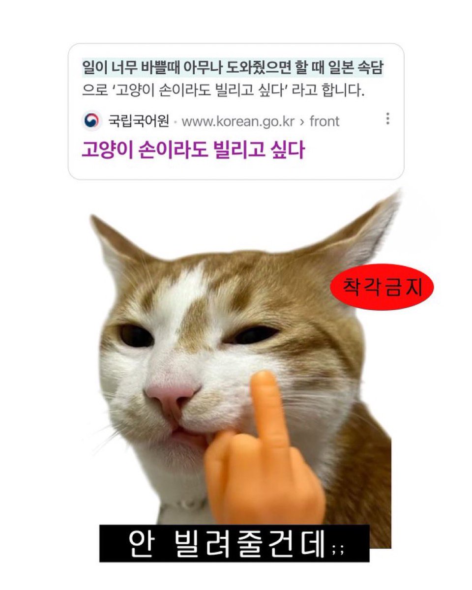 박성호 손이라도 빌리고 싶다