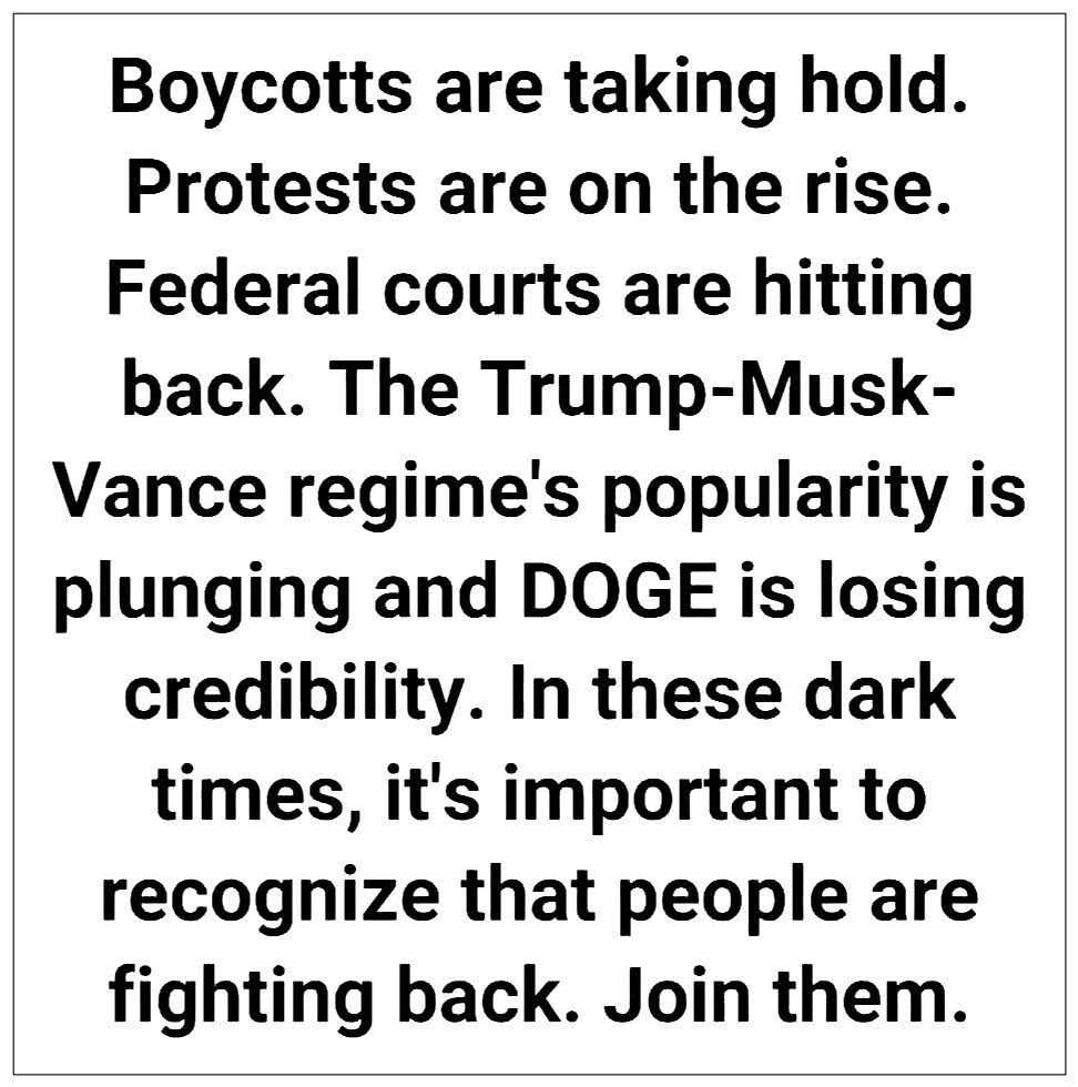 JanetLei5's tweet image. #StandUpForDemocracy