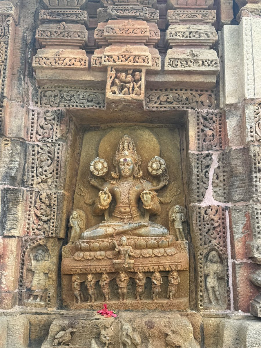 ShefVaidya's tweet photo. #LongRead #TempleTrails #OdishaOdyssey 

Barahi Temple: The Hidden Treasure Of Odisha

Tucked away in the serene folds of Odisha’s ancient Prachi Valley lies the Barahi Temple, an architectural treasure that often escapes the tourist radar. Located just about an hour away from the famous Jagannath temple of Puri, the Barahi temple hardly gets any visitors, despite being one of the best examples of Kaligan architecture. Ever since I had read about this temple in a book on Odisha temples, I was eager to visit the temple. My friend Panchami Manoo Ukil very kindly offered to take me there. 

The Prachi Valley is sometimes called the cradle of Odisha’s civilisation. It stretches along the Prachi river, a tributary of the mighty Mahanadi. Today, the river is little more than a seasonal stream, but historically, the valley has been home to diverse religious traditions — Saivism, Vaishnavism, Shaktism, Buddhism, and Jainism — all coexisting harmoniously. Ancient inscriptions and texts refer to the Prachi valley as a hub of learning and spiritual activity, with scholars, artists, and pilgrims thronging its verdant banks. 

Today though, the Prachi valley is home to quiet picturesque Odishan villages located amidst emerald green paddy fields and palm trees. The Barahi temple is located in the small village of Chaurasi, about 30 kilometers from Bhubaneswar. It is dedicated to Goddess Barahi — one of the Sapta Matrikas (Seven Mother Goddesses) in Hindu tradition. What makes this temple unique is the unusual iconography of the deity.

Goddess Barahi is depicted with the face of a boar (varaha-mukhi), holding a fish in one hand and a cup made from a human skull in the other. She sits gracefully in Lalitasana, with one foot upon a buffalo, her mount. She is presented as a pot-bellied goddess with two arms. She holds a fish in her right hand and a bowl in her left hand. A third eye is engraved into her forehead. Her iconography hints that the temple was once a center of Tantric Shakta worship. 

Built during the 9th century CE, the temple’s construction is attributed to the Somavamshi Kalinga kings, who were known to be great patrons of art and sculpture. Crafted from sandstone, the temple is small, yet elegant.  structure is simple yet elegant. The vimana (sanctum) is crowned by a rekha deula, the curvilinear Shekhara that is typical of Odishan temples. The Jagamohana or the sabhamandapa is rectangular in shape. The temple is largely intact and is now maintained by ASI.

The temple has pillars on all three sides that have exquisitely carved Naga Devatas on them.  There is a stunning Ganesha in the Devakoshtha on the north side and the west devakoshtha has a beautiful seated murti of Surya seated in his seven horsed chariot. There are mithuna sculptures in the small niches that are elaborately carved. 

The dim light and the coolness of the stone walls inside the temple give it a womb like vibe. The murti of Barahi Ma is mesmerising, the eyes feel like they are boring into your soul in the diffused light of the temple. I stood in front of the sanctum, transfixed by the Devi’s countenance. As one of the Saptamatrukas, she radiates a fierce, magnetic energy that you feel even today, more than a thousand years after the consecration of the Murti. 

While more famous temples of Odisha like the Lingaraj temple of Bhubaneshwar, Lord Jagannath of Puri, and the Sun Temple at Konark justifiably draw huge crowds, the Barahi Temple offers a more intimate, contemplative experience. 

The temple is a window into the layered religious history of the region, a testament to Odisha’s lesser-known Shakta tradition. The temple is a reminder that history often lingers in the quieter corners, waiting for the right ears to listen to its voice.

Shefali Vaidya