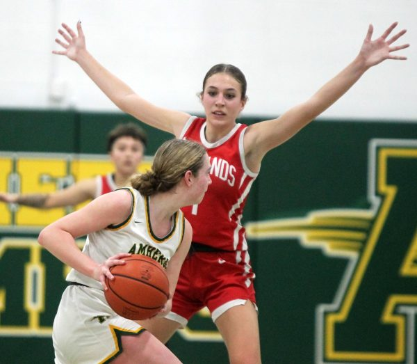 Breaking🏀🚨

Firelands' Division IV All-Ohioans
- Kendra Hardwick, HM
- Jordyn Copley, HM

<a href="/FirelandsFalcon/">Athletic Director</a> <a href="/MJournalSports/">Morning Journal Sports</a>