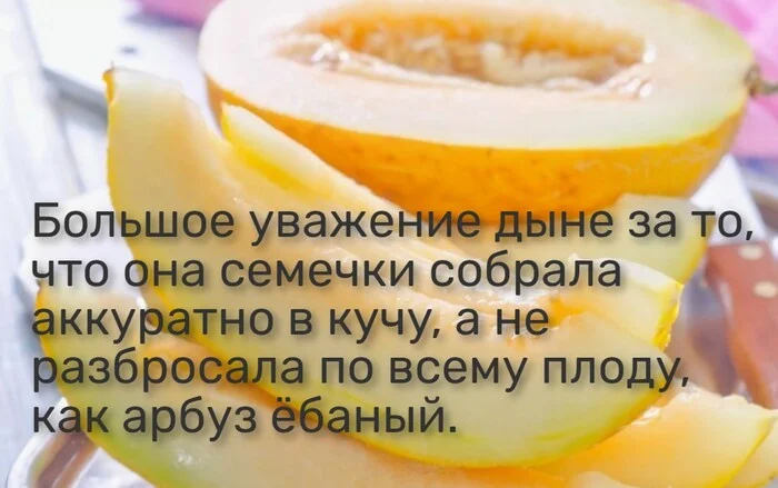 Поддержим дыню