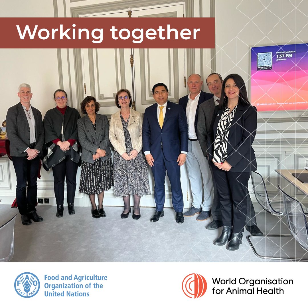 FAO Livestock (@faolivestock) on Twitter photo High-level leaders from <a href="/FAO/">Food and Agriculture Organization</a> & <a href="/WOAH/">World Organisation for Animal Health</a> reinforced their GF-TADs coordination today.🤝
The main focus is strengthening global mechanisms to combat priority transboundary #animaldiseases & advancing prevention and control strategies. 💪
More: bit.ly/4iAy16f
#animalhealth High-level leaders from <a href="/FAO/">Food and Agriculture Organization</a> & <a href="/WOAH/">World Organisation for Animal Health</a> reinforced their GF-TADs coordination today.🤝
The main focus is strengthening global mechanisms to combat priority transboundary #animaldiseases & advancing prevention and control strategies. 💪
More: bit.ly/4iAy16f
#animalhealth