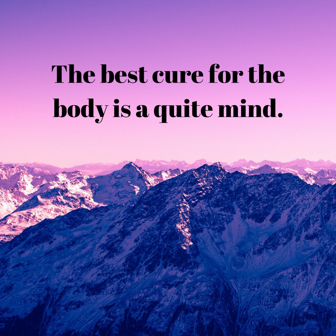 Carla Rieger (@carlarieger) on Twitter photo 