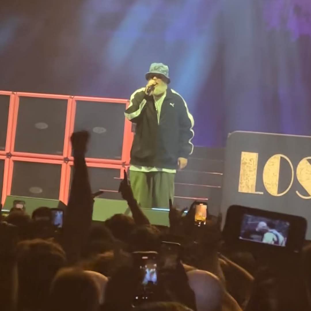 Puto_Takagi's tweet image. Fred Durst of Limp Bizkit performing My Way.

A fan understood the assignment.