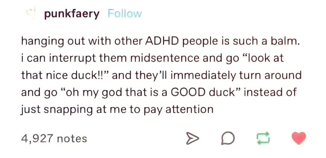 sensoryoverload.info tweet media