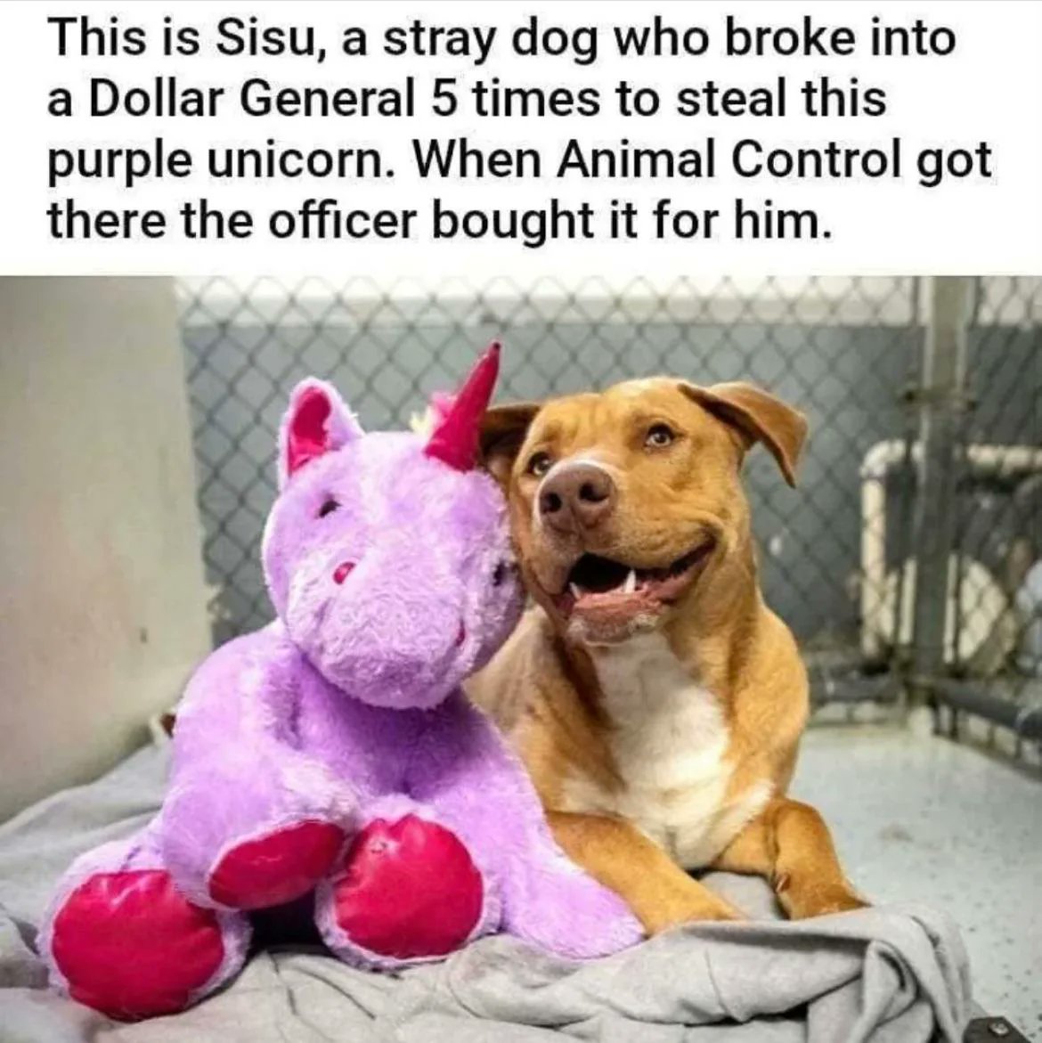 tradingMaxiSL's tweet image. 2.