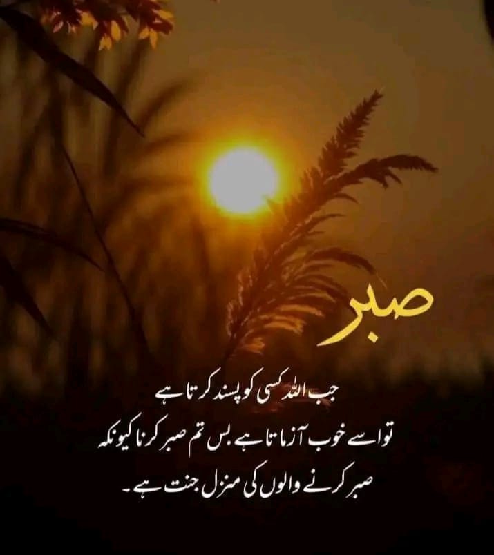 Good morning x family 💟🌅 
ان اللّٰہ مع الصابرین 
صلی اللہ علیہ وسلم 🥀❣️ 
درود و سلام
